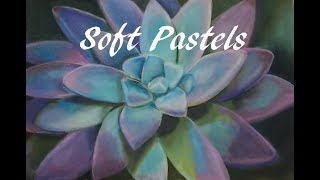 Pastel Drawing of a Colorful Succulent Plant [upl. by Enawd]