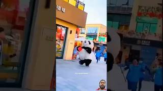 panda pandalover bear pets sonadey cute funny [upl. by Nodal96]