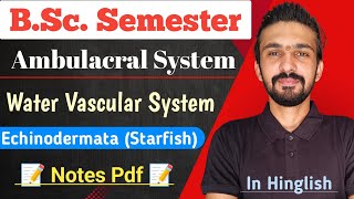 Water Vascular System In Echinodermata  StarFish  Bsc Semester  By Dadhich Sir [upl. by Siulegroj]