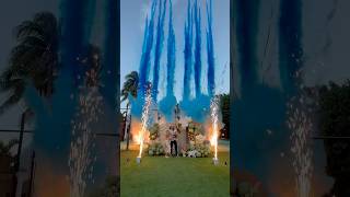 The best gender reveal in the world🌎🎉🎉 genderrevealideas genderrevealideas [upl. by Asikal]