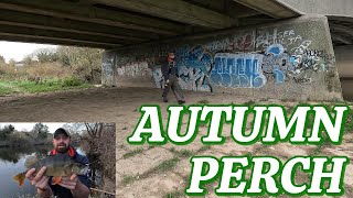 AUTUMN PERCH FISHING ON THE RIVER SEVERN [upl. by Solange56]