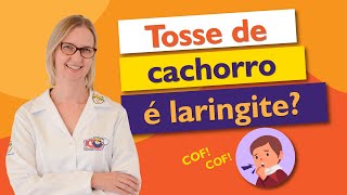 Tosse de cachorro coriza febre e obstrução nasal Você sabia que pode ser laringite [upl. by Eioj]