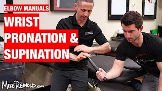 Forearm Pronation and Supination Manual Exercises [upl. by Temp423]