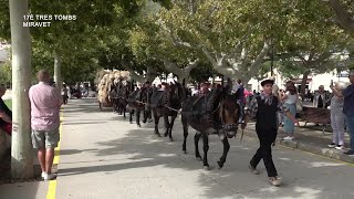 17è Tres Tombs a Miravet [upl. by Gunning103]