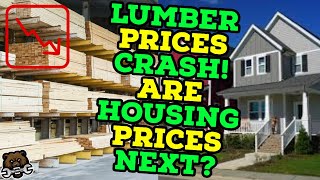 Lumber Prices CRASH Are Housing Prices Next [upl. by Nowujalo]