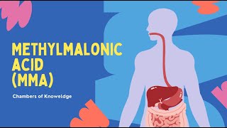 Methylmalonic Acid MMA Blood Test [upl. by Treiber460]