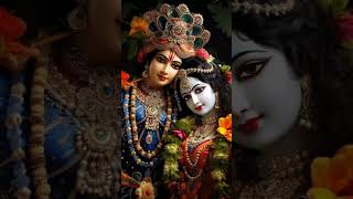 Meri Vinti Yahi Hai Maharani Kripa Status  Radha Rani bhajan Status  full Hd Status radharani [upl. by Norac481]