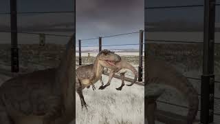 Albertosaurus Kills Gallimimus 🦖 dinosaur albertosaurus gallimimus jwe2 dino [upl. by Relyc]