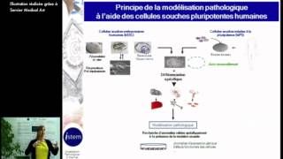 Trouver des médicaments par criblage sur modèles cellulaires [upl. by Thorndike241]