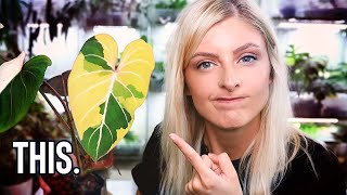 8 REALLY ANNOYING Variegated Rare Houseplants [upl. by Aivirt417]