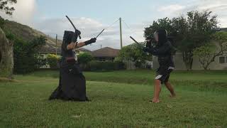 Nitoryu Katana and Wakizashi vs Escrima Dual Sticks [upl. by Sile775]