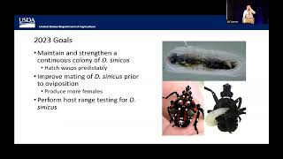 Parasitoid Wasps as Biocontrol  SLF Summit 2024 [upl. by Emelia]