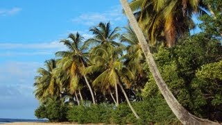 Ponta do Mutá  Barra Grande  Bahia  Brasil  parte2 Nobroo [upl. by Artnoed]