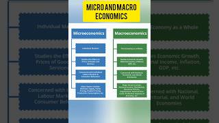 micro and macro economics difference between micro amp macro economics shorts online learning [upl. by Sawyer]