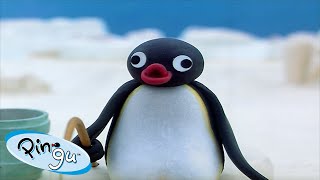 Best Episodes from Season 3  Pingu  Official Channel  Cartoons For Kids [upl. by Alim]