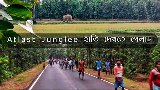 Junglee Hatir Tandob  Atlast Junglee হাতি দেখতে পেলাম  Mukutmanipur Series Last Part [upl. by Ybrad]