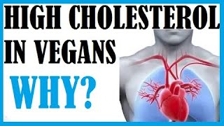 Vegans Starting To Get High Cholesterol Why [upl. by Anima481]