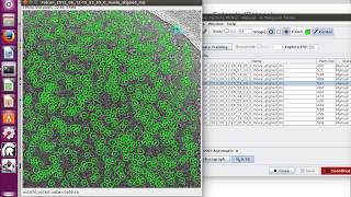 Scipion tutorial Beta galactosidase Part2 Particle picking [upl. by Fanya]