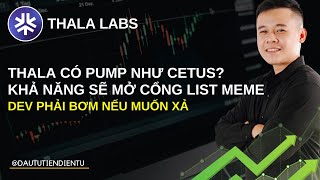 THALA Có Pump Như Cetus Khả Năng Sẽ Mở Cổng List Meme amp Dev Phải Bơm Nếu Muốn Xả [upl. by Dirtsa]