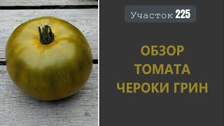 Томат Чероки грин Бронзовый деликатес [upl. by Dacey238]