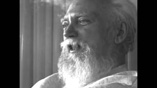 Robert Anton Wilson  Politics and Conspiracy Audio [upl. by Stearn]