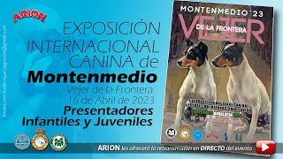 Exposición Internacional Canina de Montenmedio 2023 DOMINGO [upl. by Artenra]