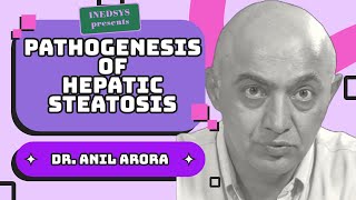 “Pathogenesis of Hepatic Steatosis Insights into Potential Treatment Optionsquot by Prof Anil Arora [upl. by Orecul447]