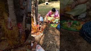 Aranikuma e Deepam Karthika Deepam karthika masam karthikadeepam song [upl. by Anitsua]