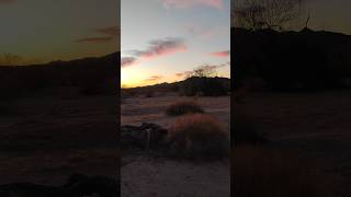 Quartzsite Arizona BLM Sunset 🌇 [upl. by Norrahc]