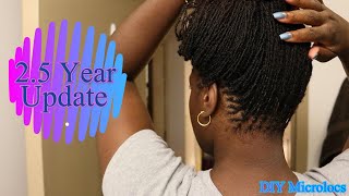 DIY Microlocs  25 YEAR UPDATE  Loc Journey  Interlocks [upl. by Isaac]