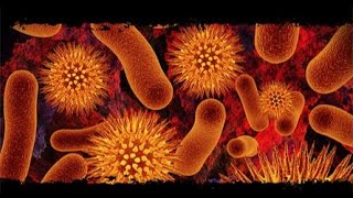 14 comparison between bacteriocin and antibiotic شرح [upl. by Asillam]