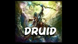 Dungeons and Dragons The Druid [upl. by Narual]