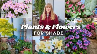 10 Plants amp Flowers For a Shade Container Garden [upl. by Yatnahc]