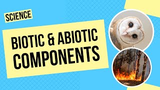 Biotic and Abiotic Components  Science Lesson [upl. by Anoval]