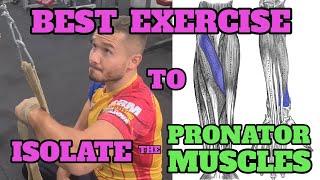 Best Exercise to Isolate the Pronator Muscles [upl. by Enomed]