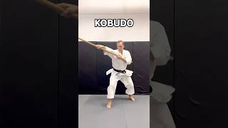 Kobudo vs MMA 🥊 [upl. by Teuton]