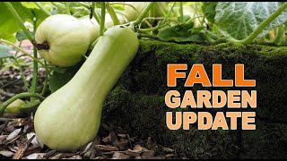 Tomato Season Is Over Fall Garden Tour And Updates [upl. by Lukash]