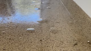 Epoxy Floor Failure Moisture RemediationHow To FixMoisture Barriers surfaceitsurfaceit805 [upl. by Kasper792]