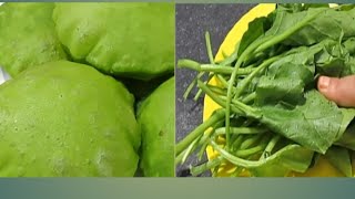 palong puribengali vlogsaltabanu cooking and vlogs [upl. by Anayi303]