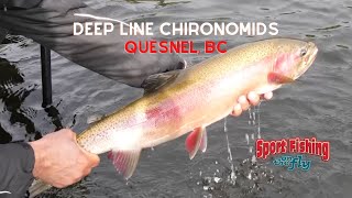 FLY FISHING DEEP LINE CHIRONOMIDS 101 [upl. by Gove750]