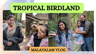 Tropical Birdland  Desford  Leicester [upl. by Laumas]