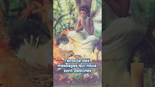 Message No2  💫 7 jours des Fées canalisation syberiamystic guidance [upl. by Serafina]