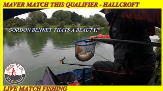 Maver Match This Qualifier  Hallcroft Fisheries  Live Match Fishing  5th August 2023 [upl. by Aprilette]