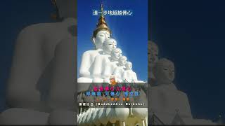 【拜佛相 見佛心 悟空性】佛使比丘（BuddhadAsa Bhikkhu）《一問一智慧》摘要 佛學知識 佛教中文 [upl. by Poler335]