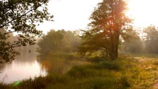 Śpiew Ptaków w Lesie nad Rzeką Wartą [upl. by Safoelc28]