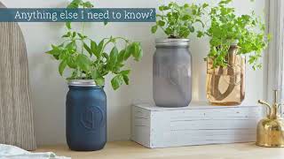 How To Grow Herbs Indoors All Year Long [upl. by Dart425]