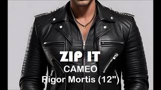 Zip It Cameo  Rigor Mortis 12quot Instrumental Karaoke [upl. by Alrick]