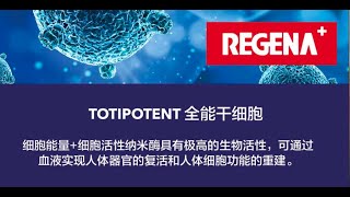 全能干细胞 Totipotent Stem Cells [upl. by Yemaj]