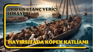 Hayırsızada Köpek Katliamı 1910un Utanç Verici Hikayesi [upl. by Desdamona]