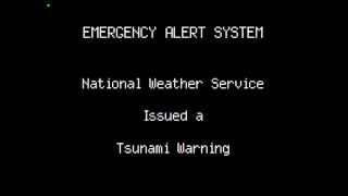 Tsunami Warning Hawaii 1AM 31111 [upl. by Robinette]